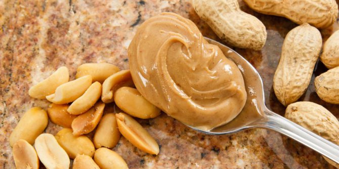 Agen Kacang Bogor Murah